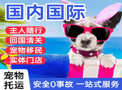 长治机场托运国际宠物托运 【国